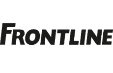 frontline